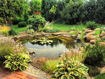 A garden with a fish pond