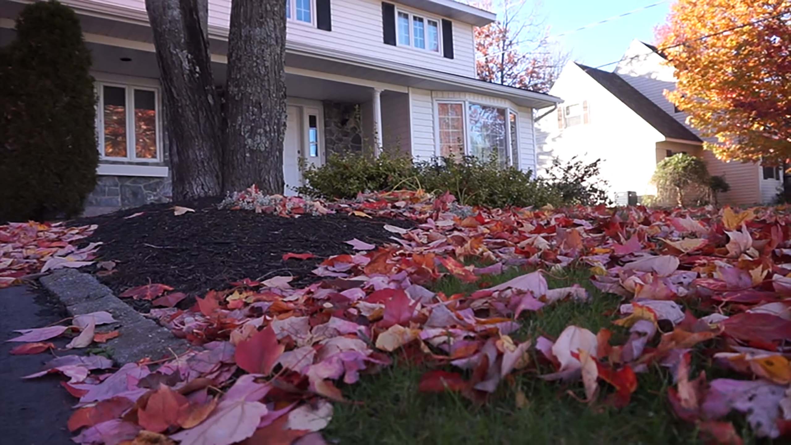 Fall Cleanup in Ridgefield CT A-Z Landscaping LLC