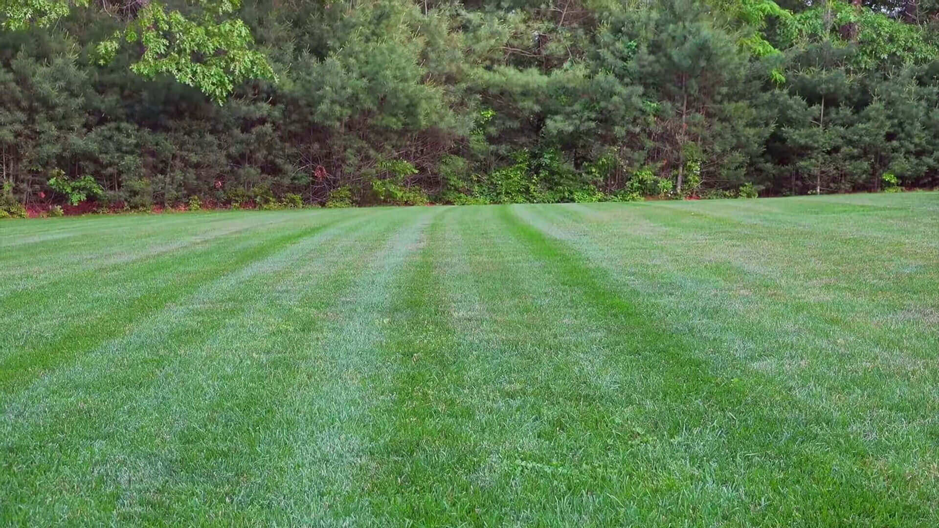 Green Cut Grass in Ridgefield CT A-Z Landscaping LLC