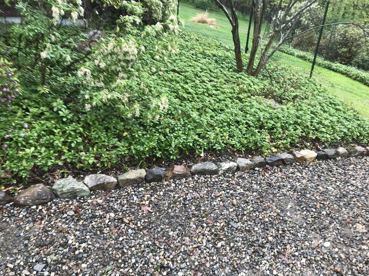 Green plants with laying field stones as a border.