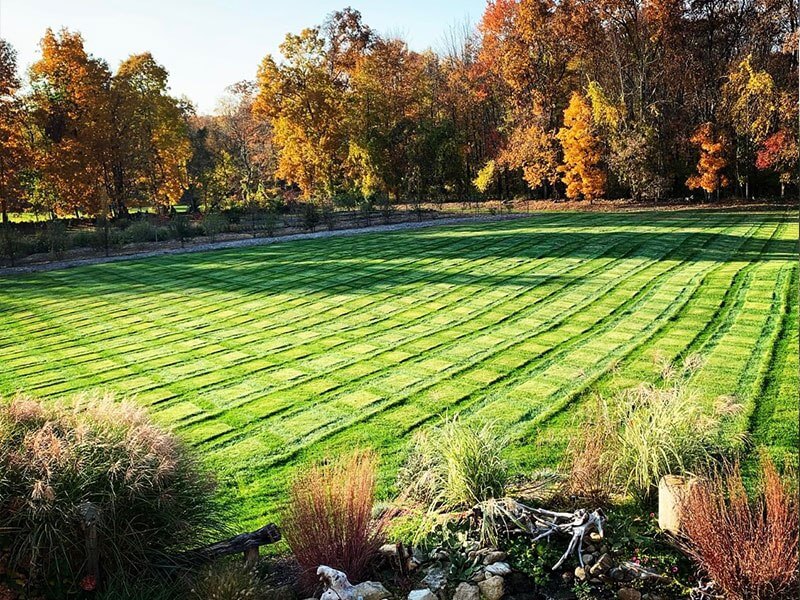 Lush Green Stripped Lawn - A-Z Landscaping LLC