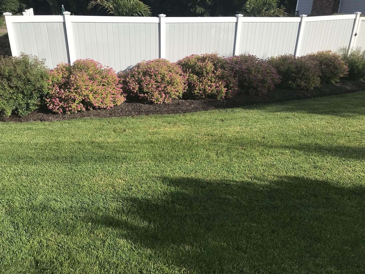 Shrubs beside the white fence | A-Z Landscaping