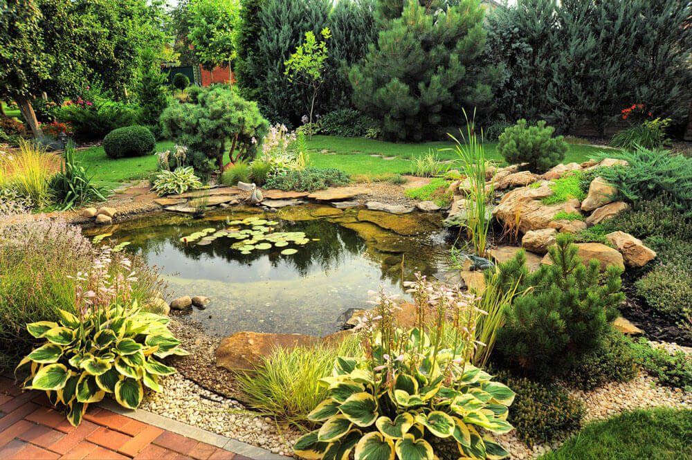 Water garden landscape design | A-Z Landscaping