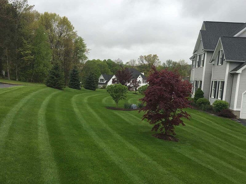 Wide Lawn | A-Z Landscaping