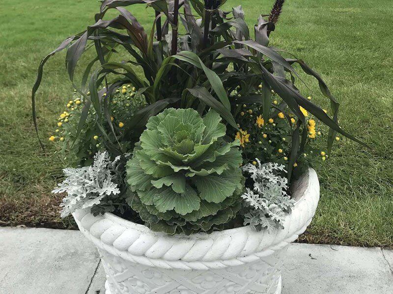 Flower pot | A-Z Landscaping