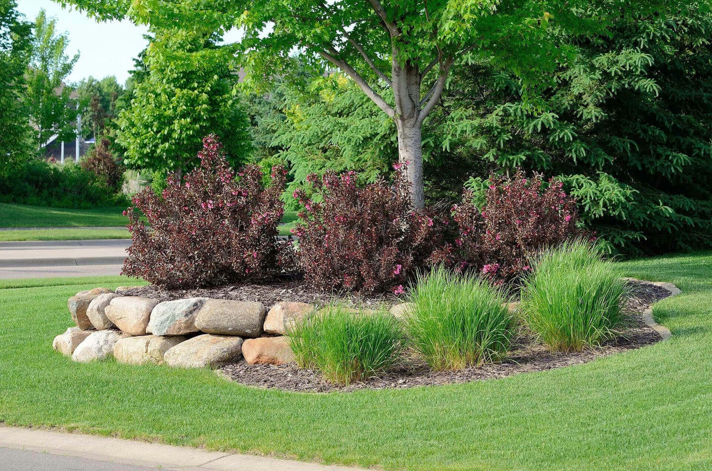Tree Landscaping and Masonry A-Z Landscaping