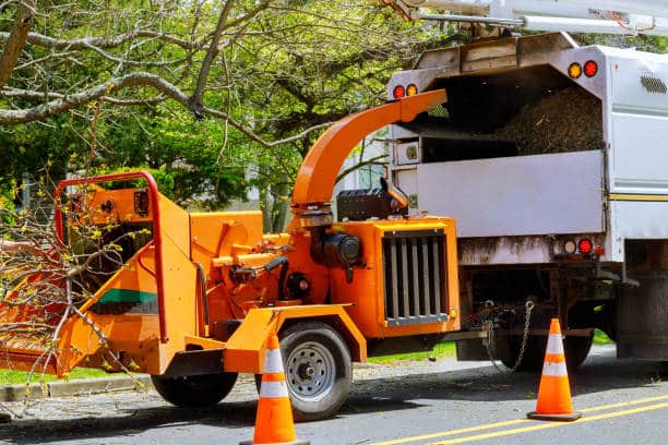 after tree removal tree service wilton ct A-Z Landscaping Ridgefield CT