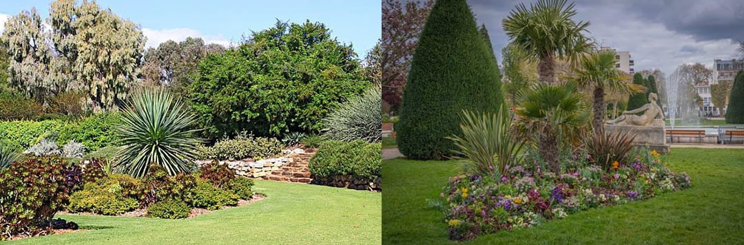 What is Pruning Importance and Benefits of Pruning image 3 Pruning A-Z Landscaping Ridgefield CT