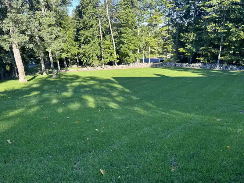 Lawn Care After Image lawn care services A-Z Landscaping Ridgefield CT